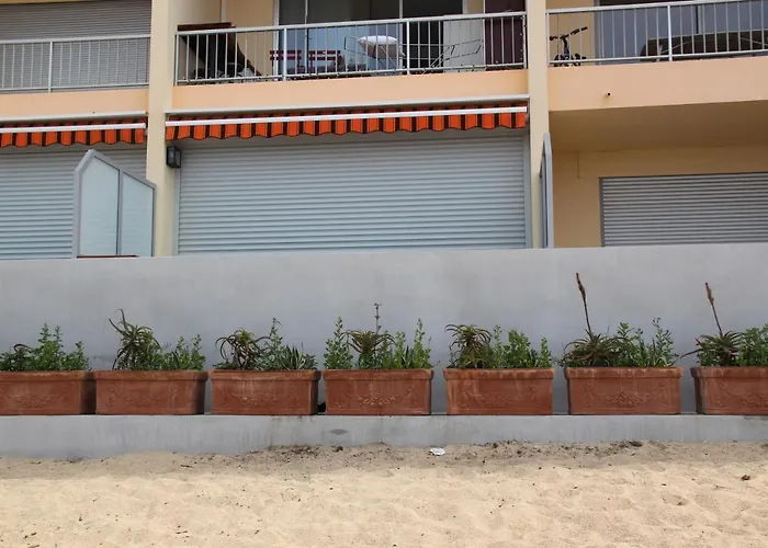 Pieds Dans L'eau Ajaccio (Corsica)