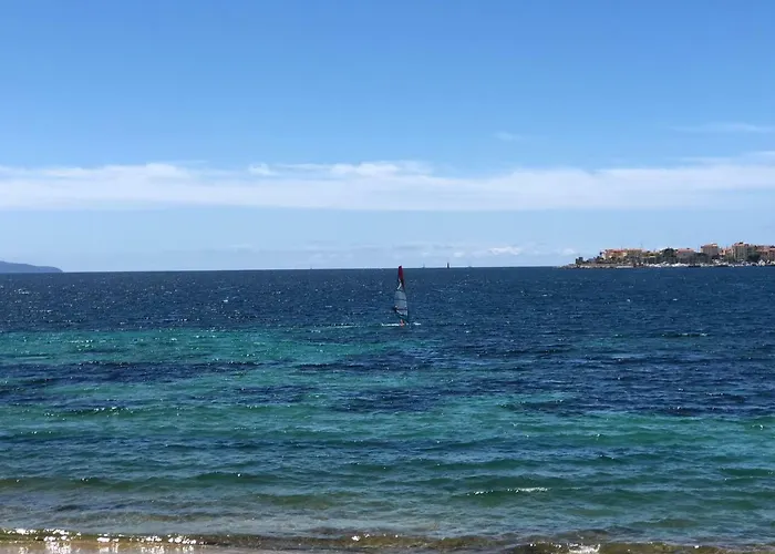 Daire Pieds Dans L'eau