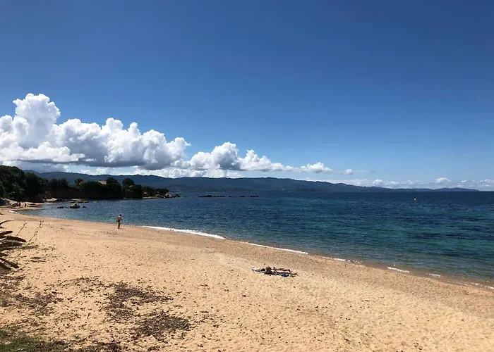 Pieds Dans L'eau Daire *